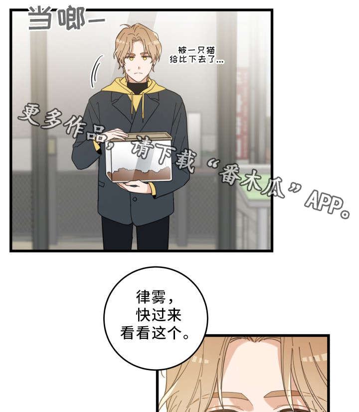 第23话12