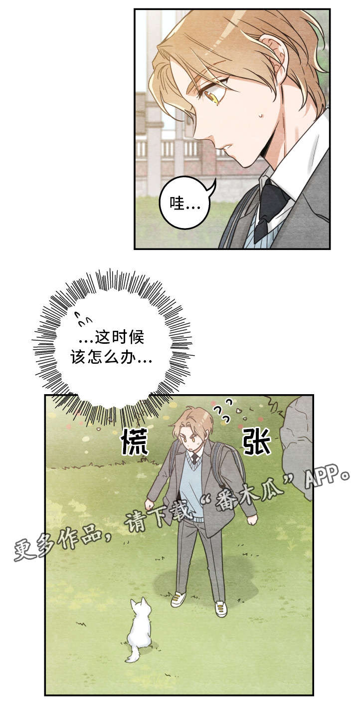 第16话11
