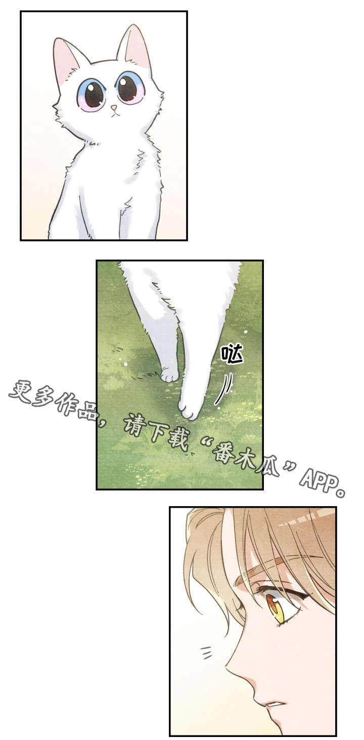 第16话13