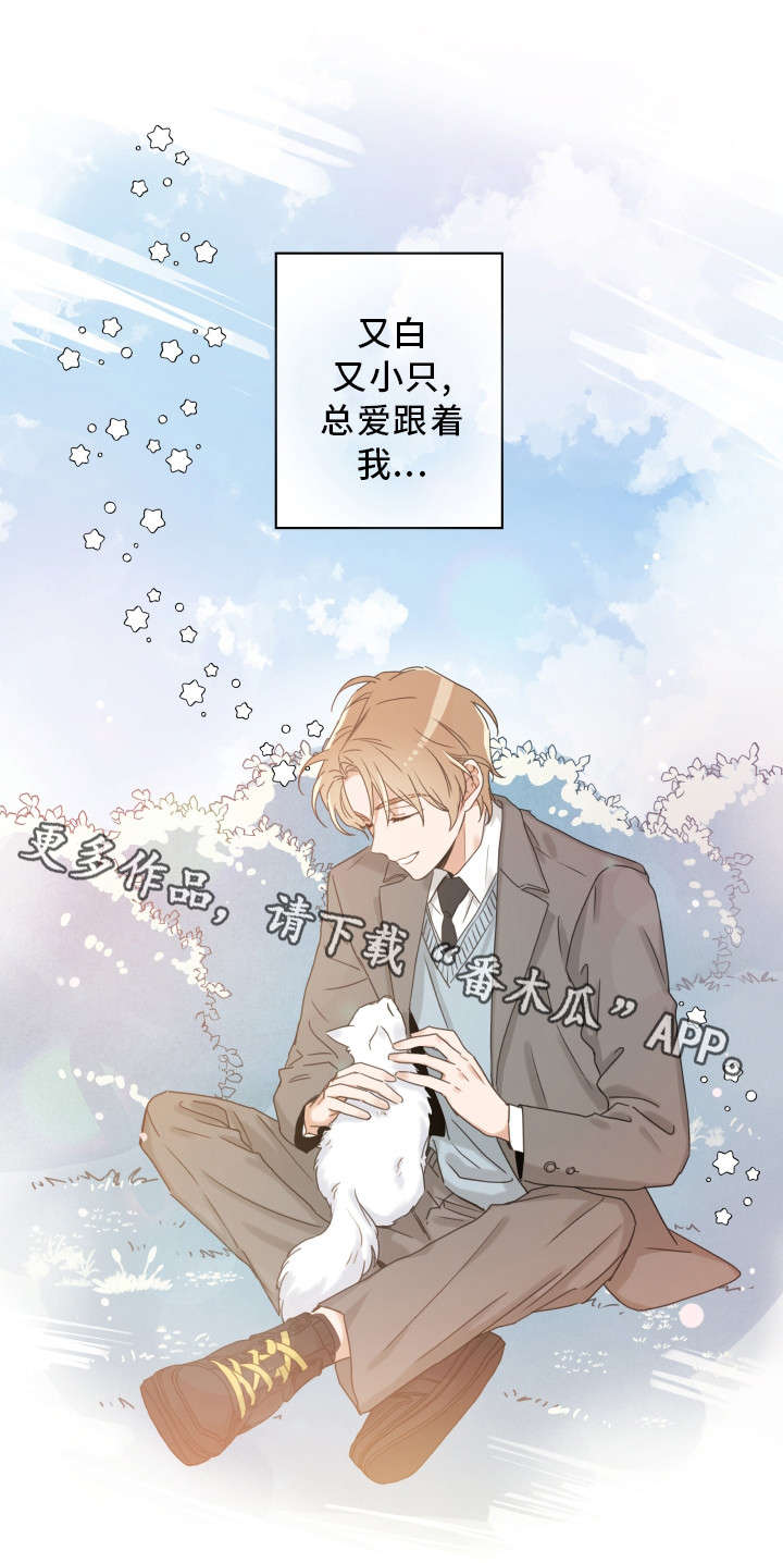 第15话16