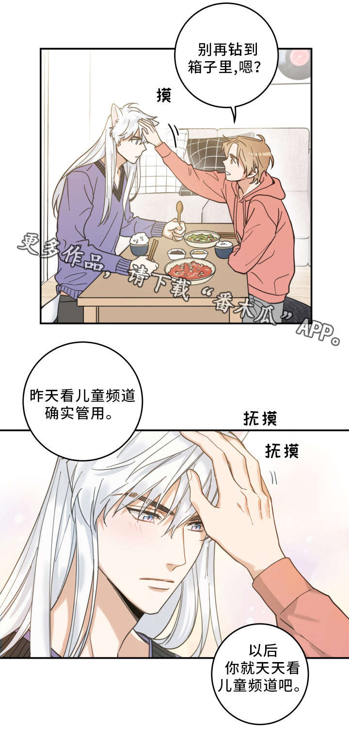 第11话13