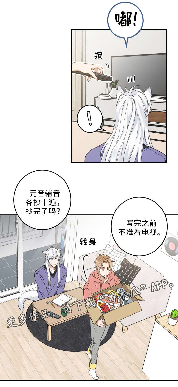 第11话3