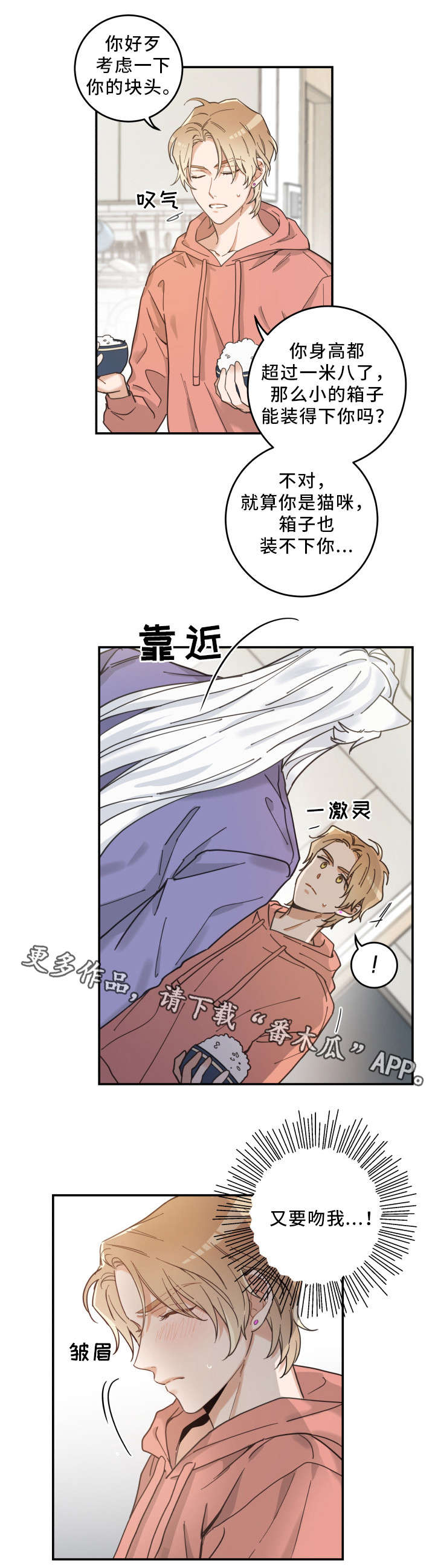 第11话9