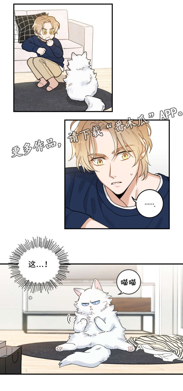第10话0