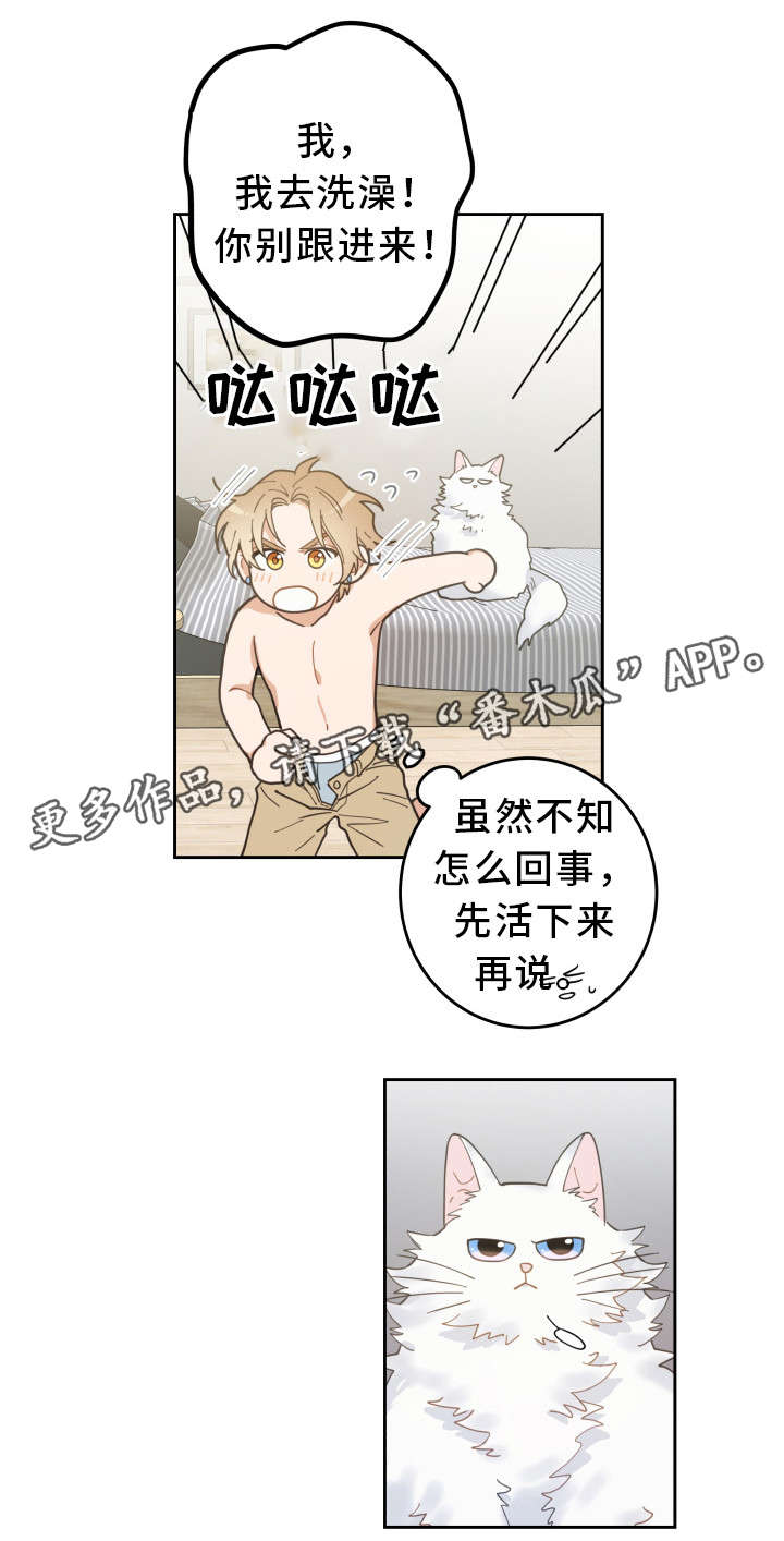 第8话8