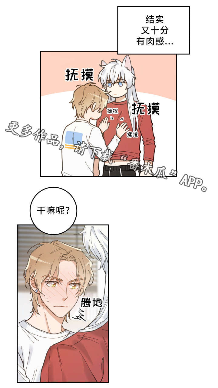 第7话11
