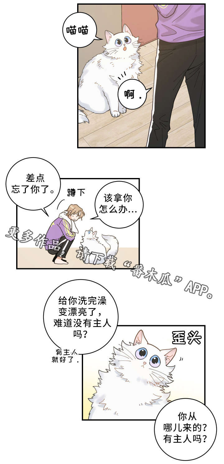 第4话6