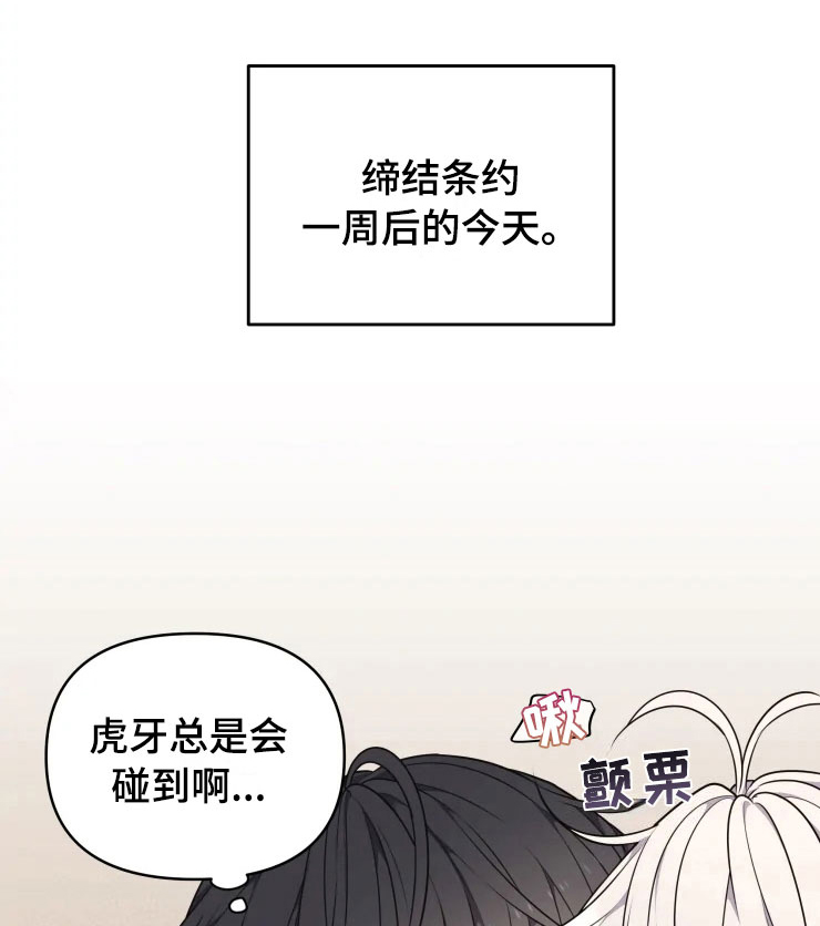 第11话7