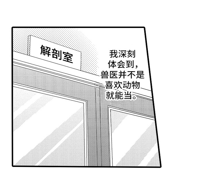 第11话11