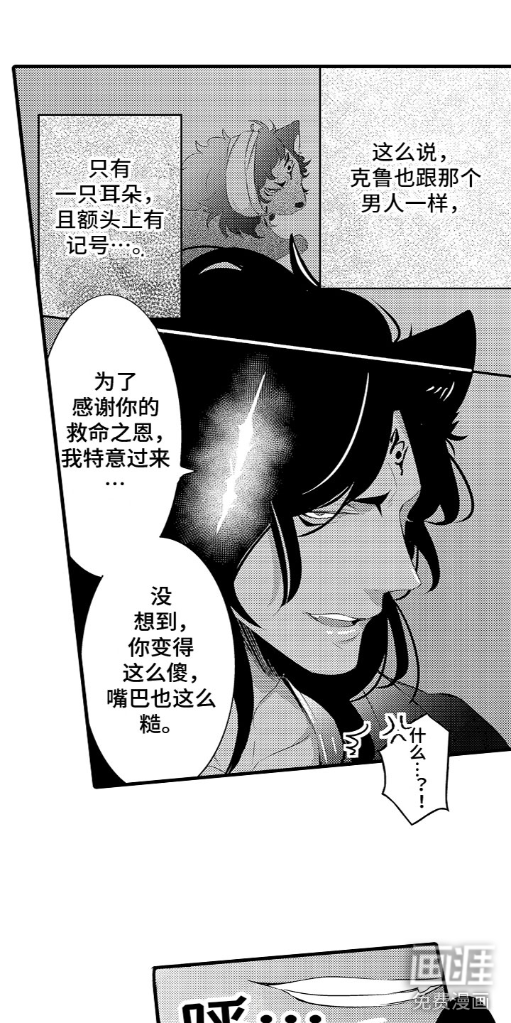 第5话11