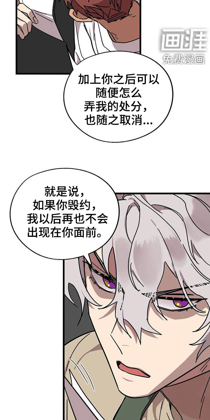 第29话17