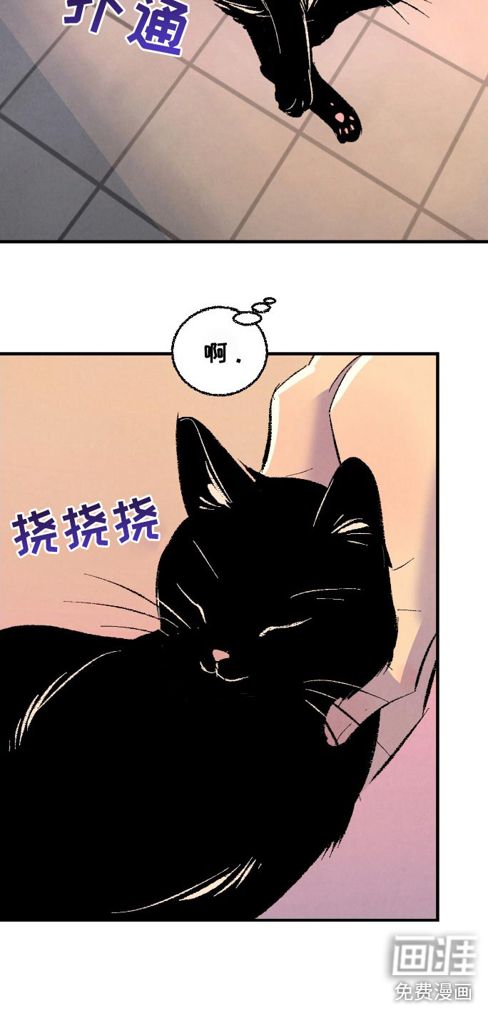 第163话21