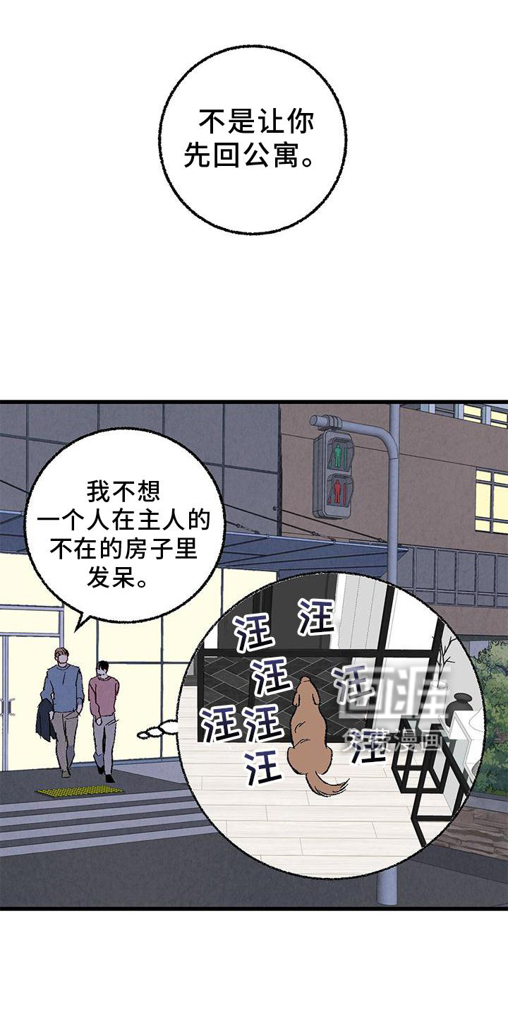 第104话5