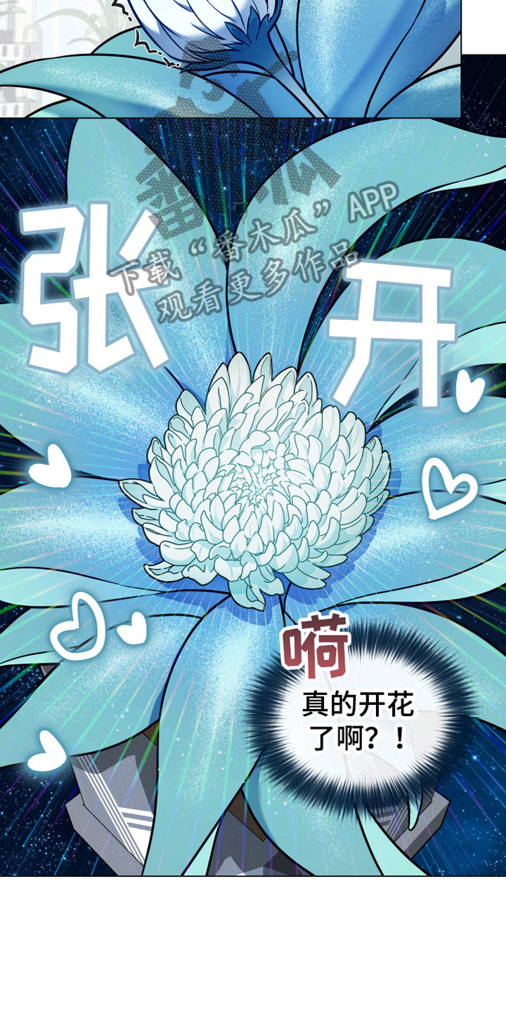 第8话11