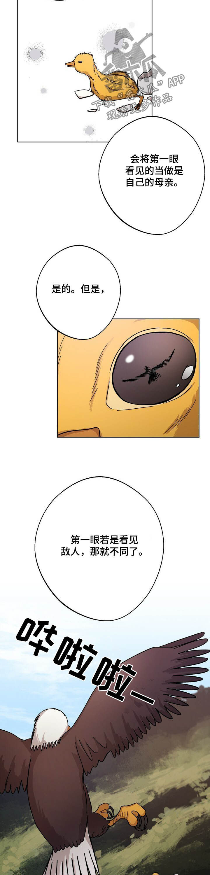 第43话11