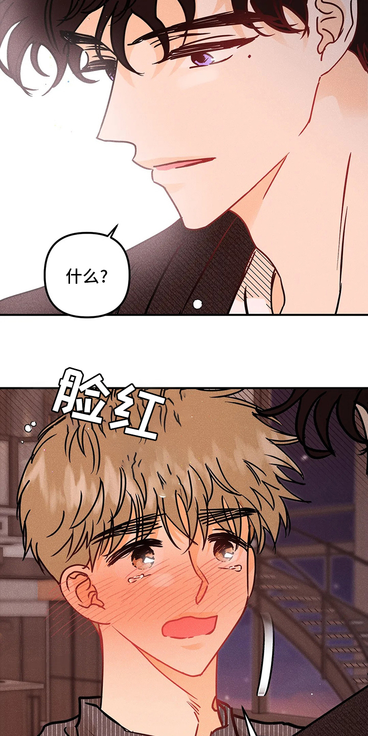 第53话13