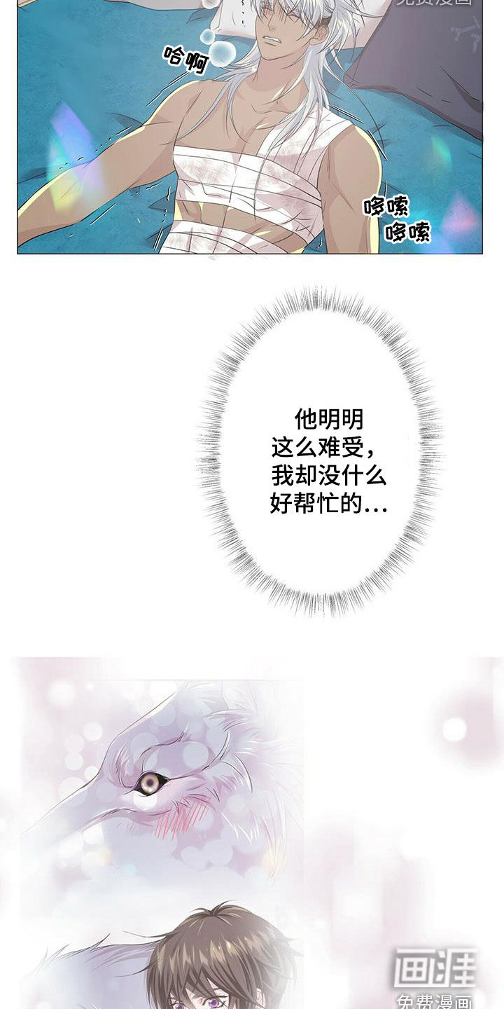 第145话1
