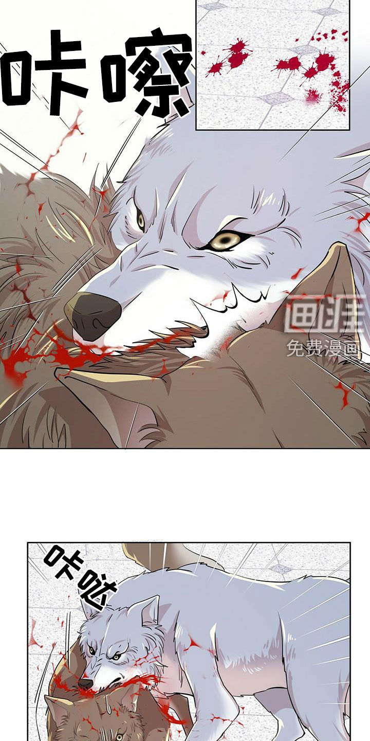 第130话13