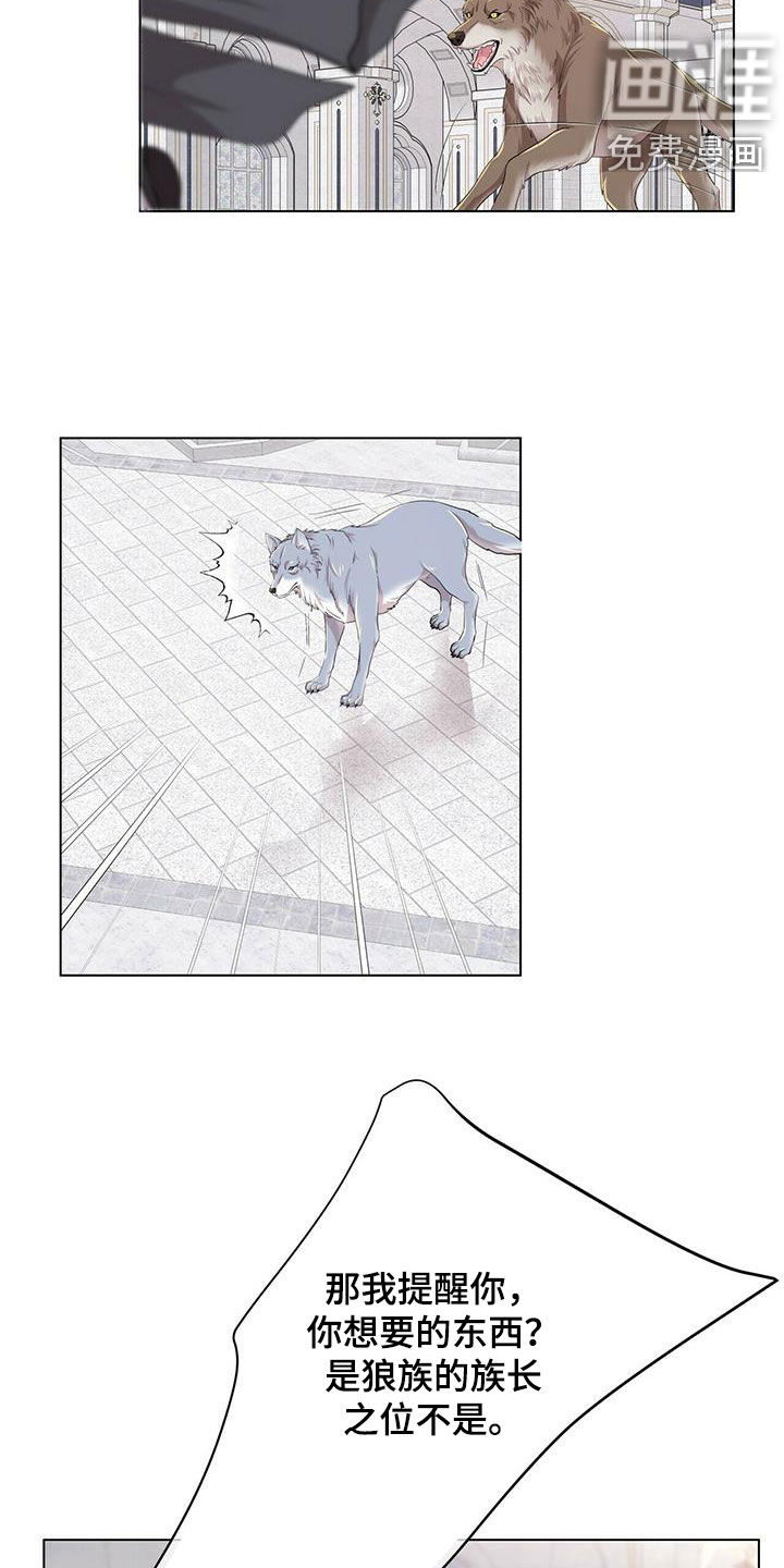 第129话13