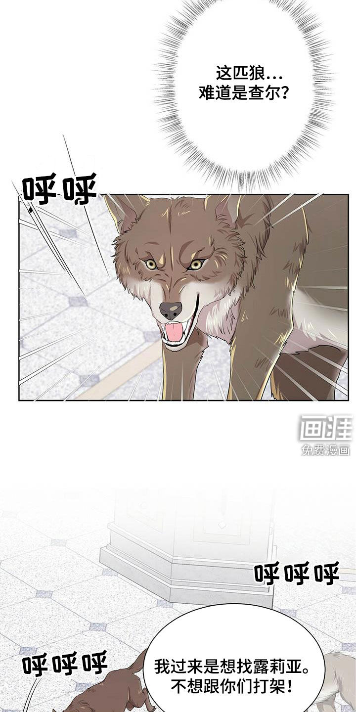 第127话16