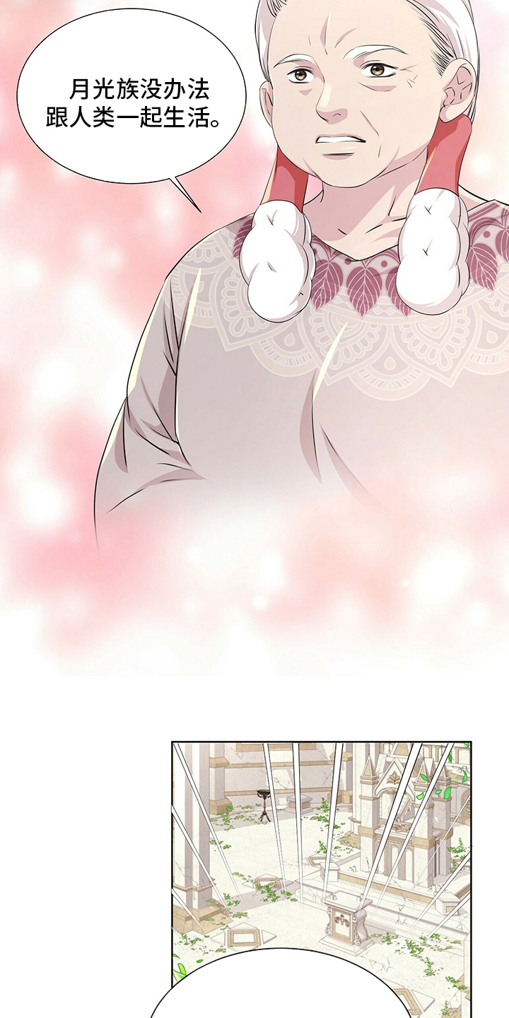 第116话6