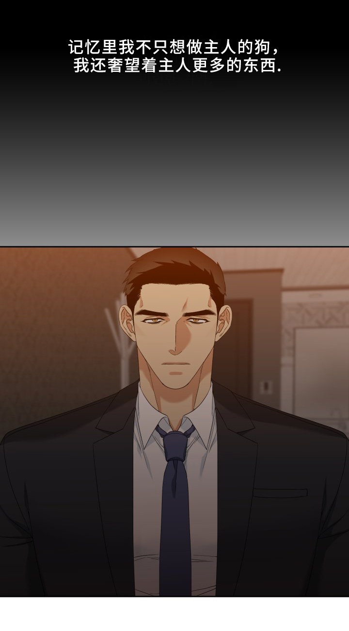 第11话8