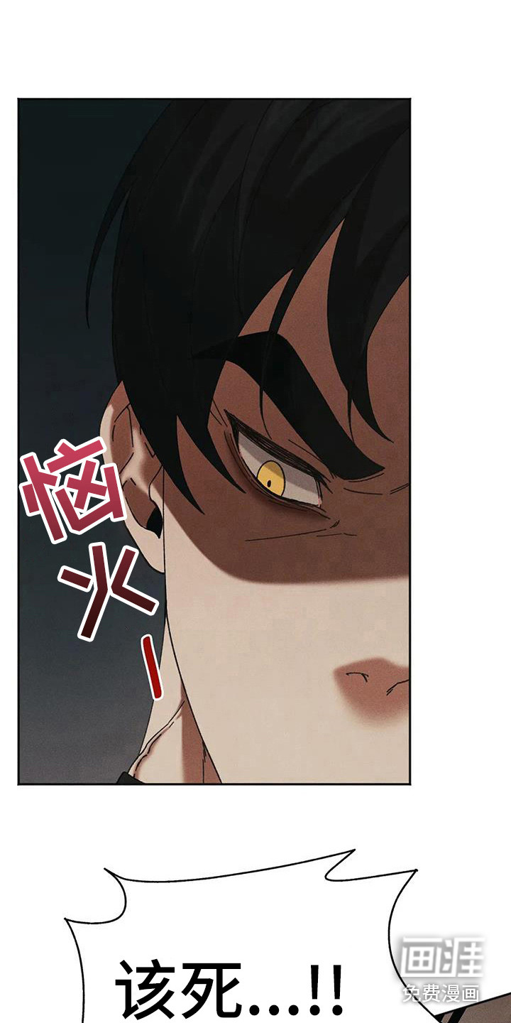 第13话5