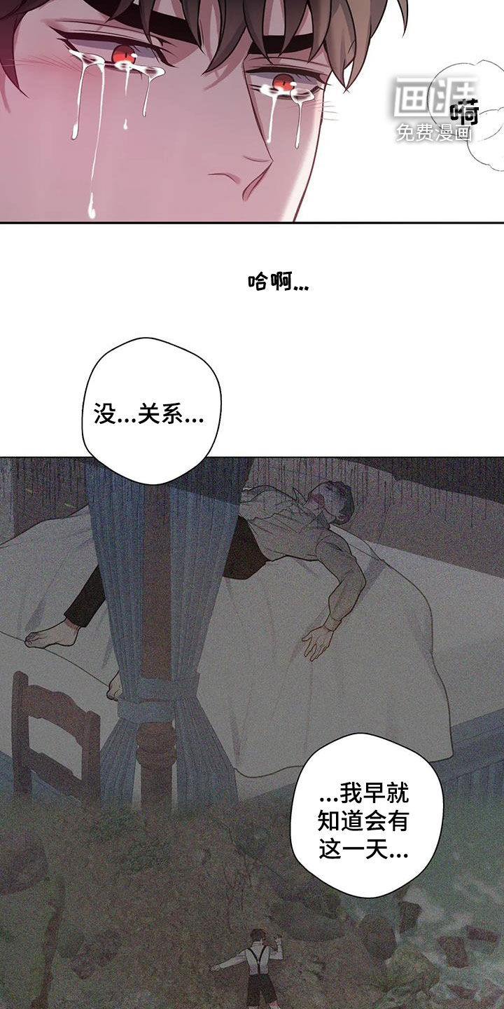 第131话11
