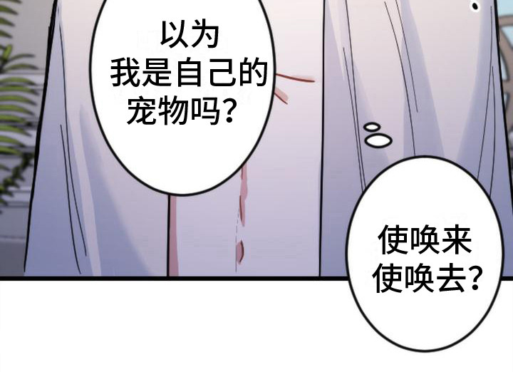 第19话21