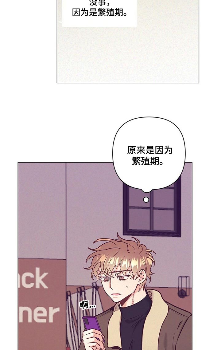 第49话11