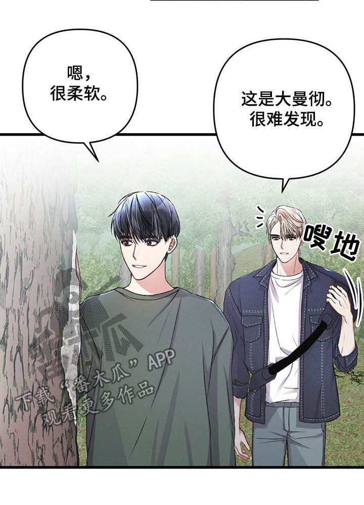 第44话10