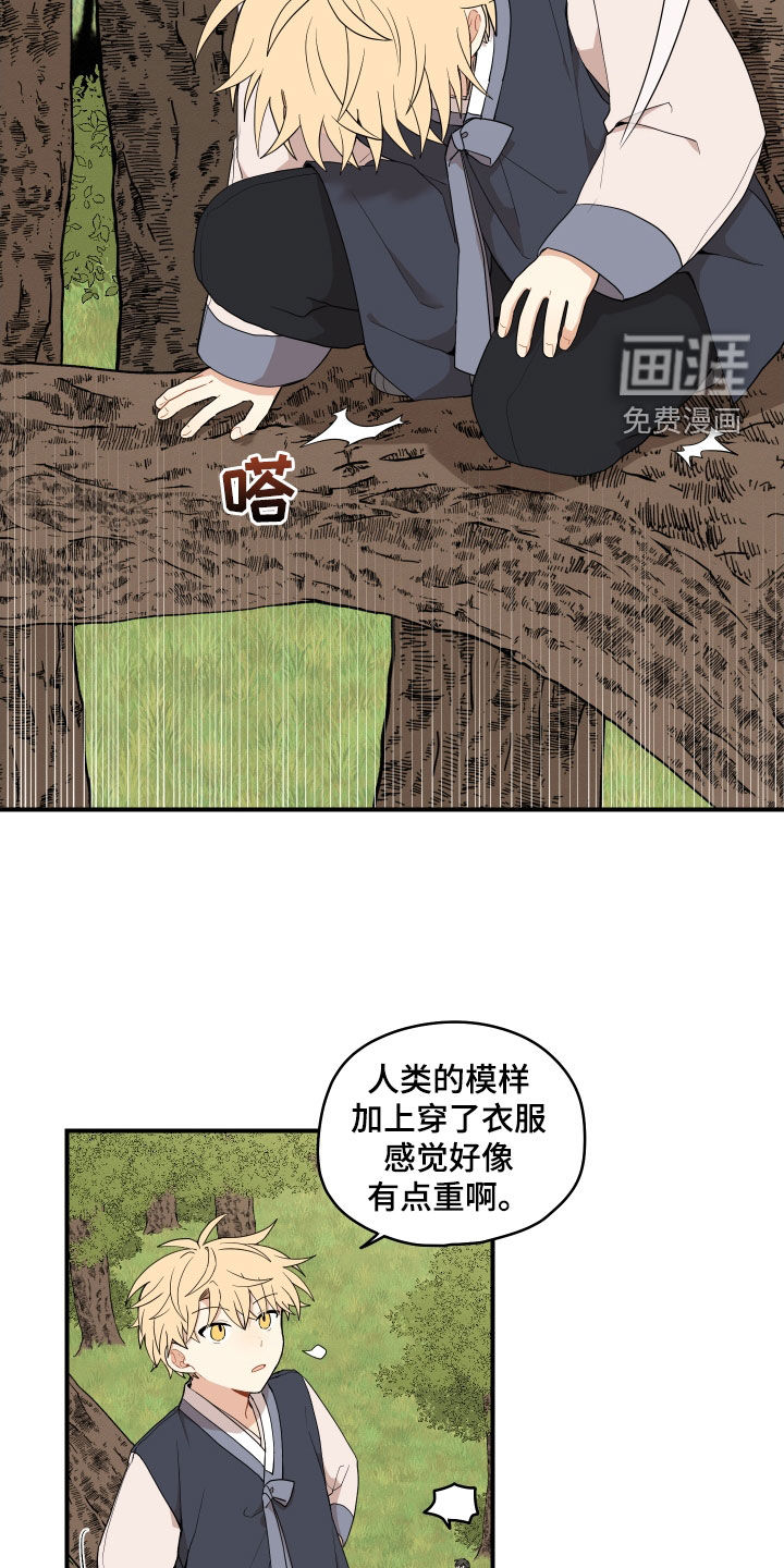 第50话17