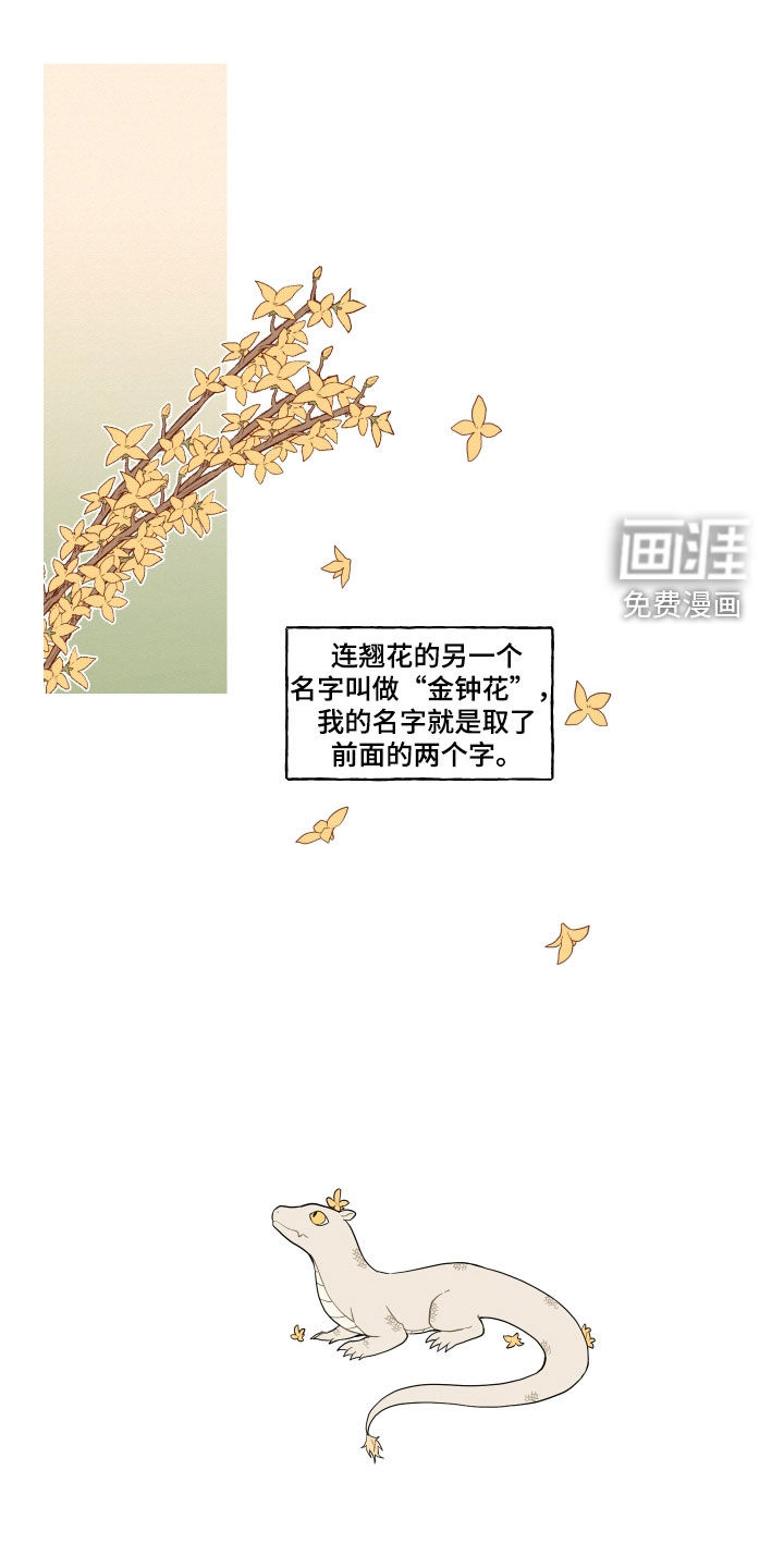 第49话0