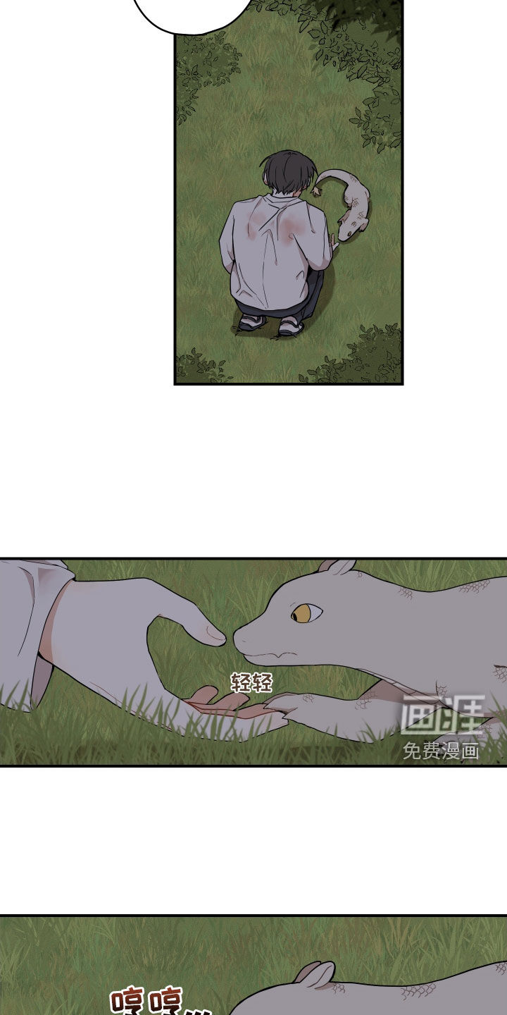 第47话5