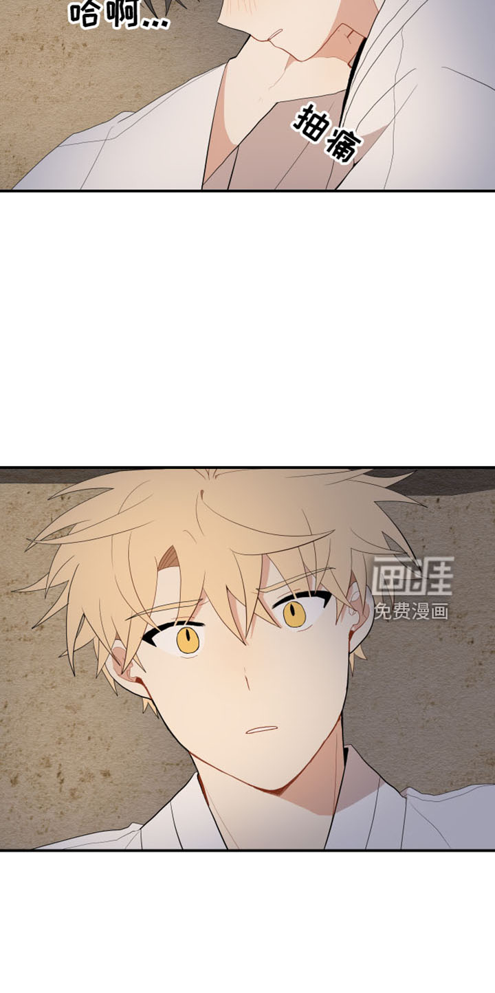 第39话15
