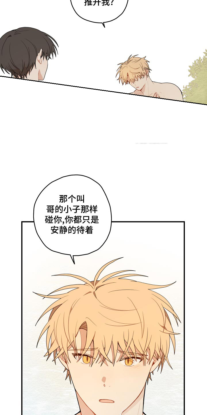 第29话21