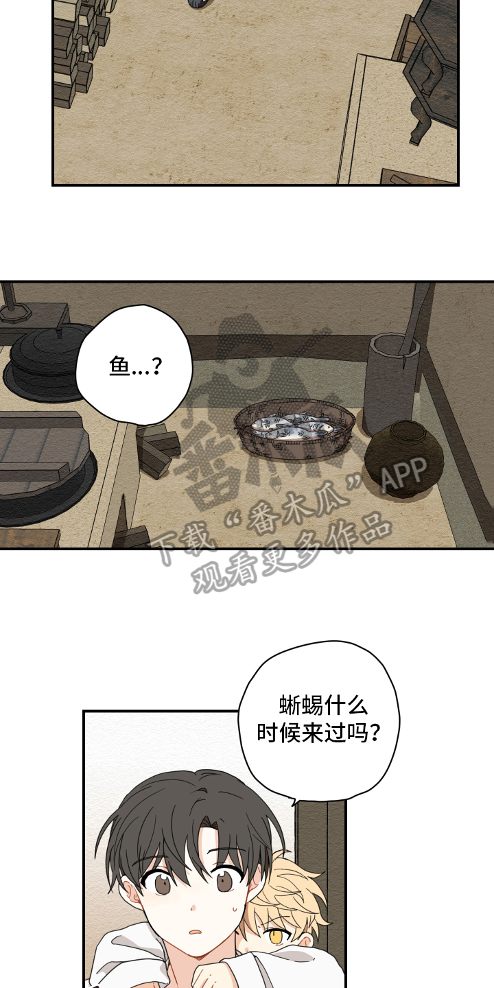第11话9