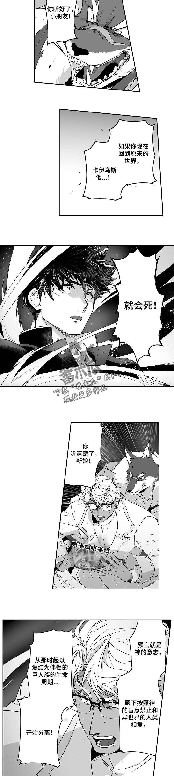 第41话3