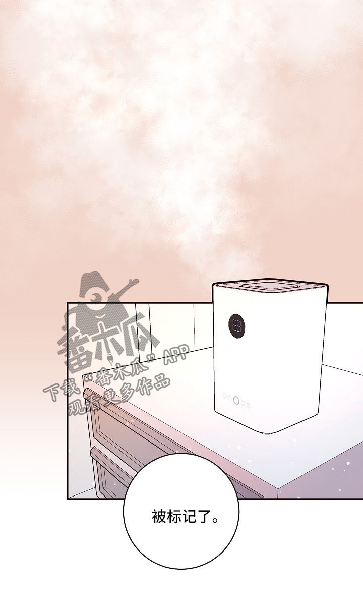 第95话12