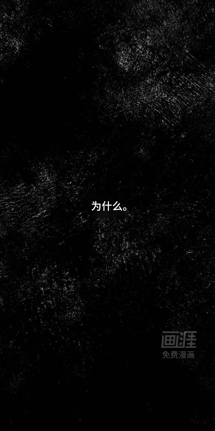 第223话13