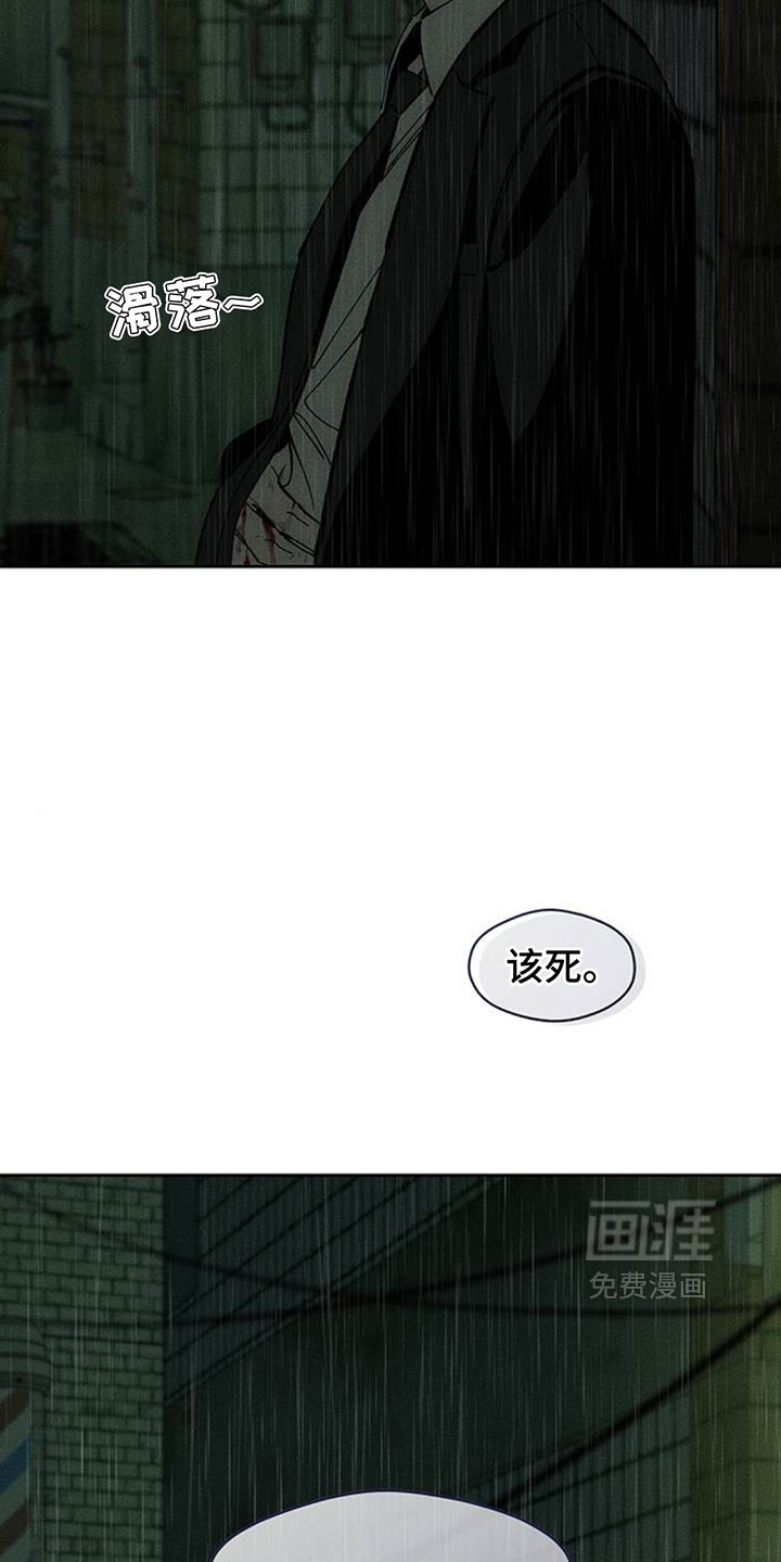 第247话11