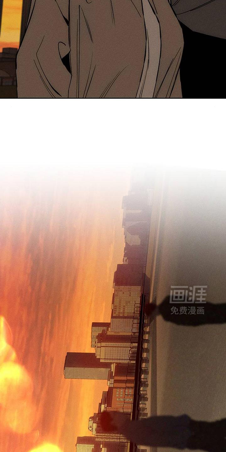 第115话8