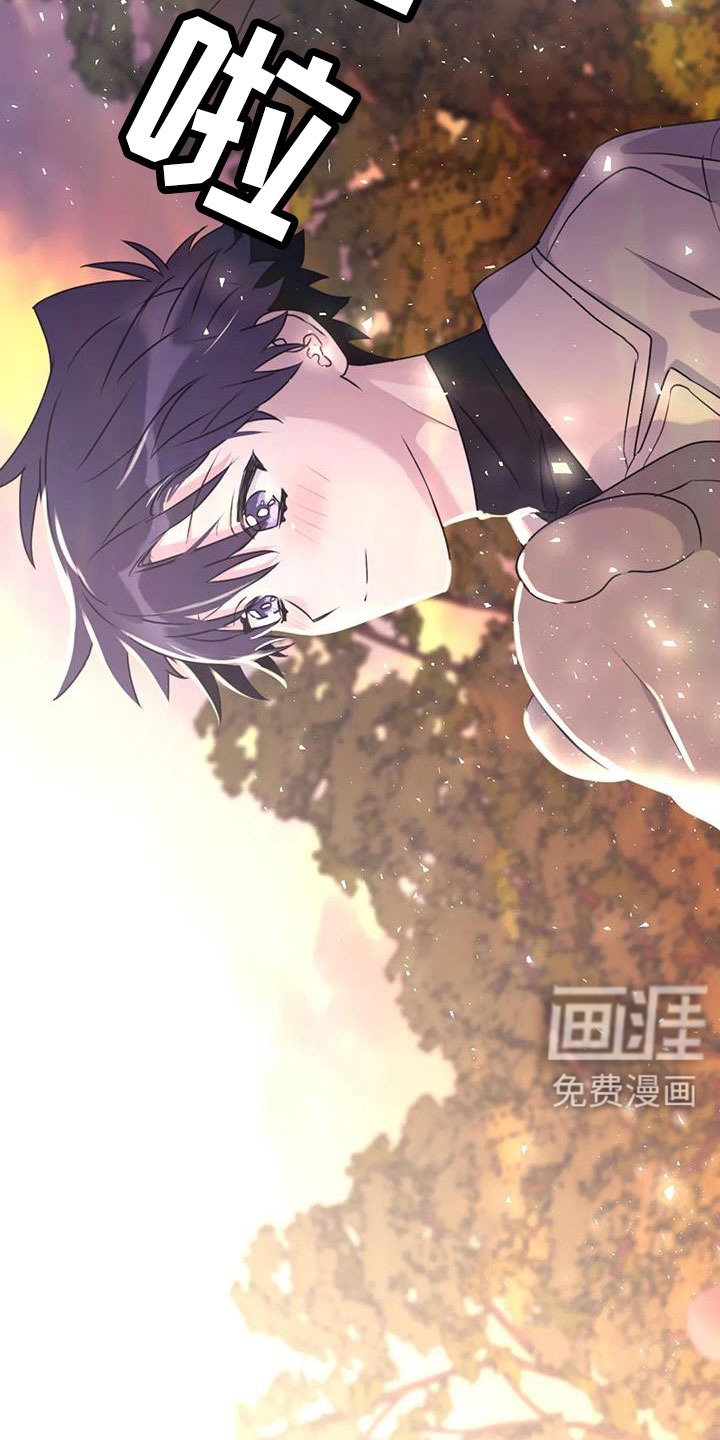第120话17