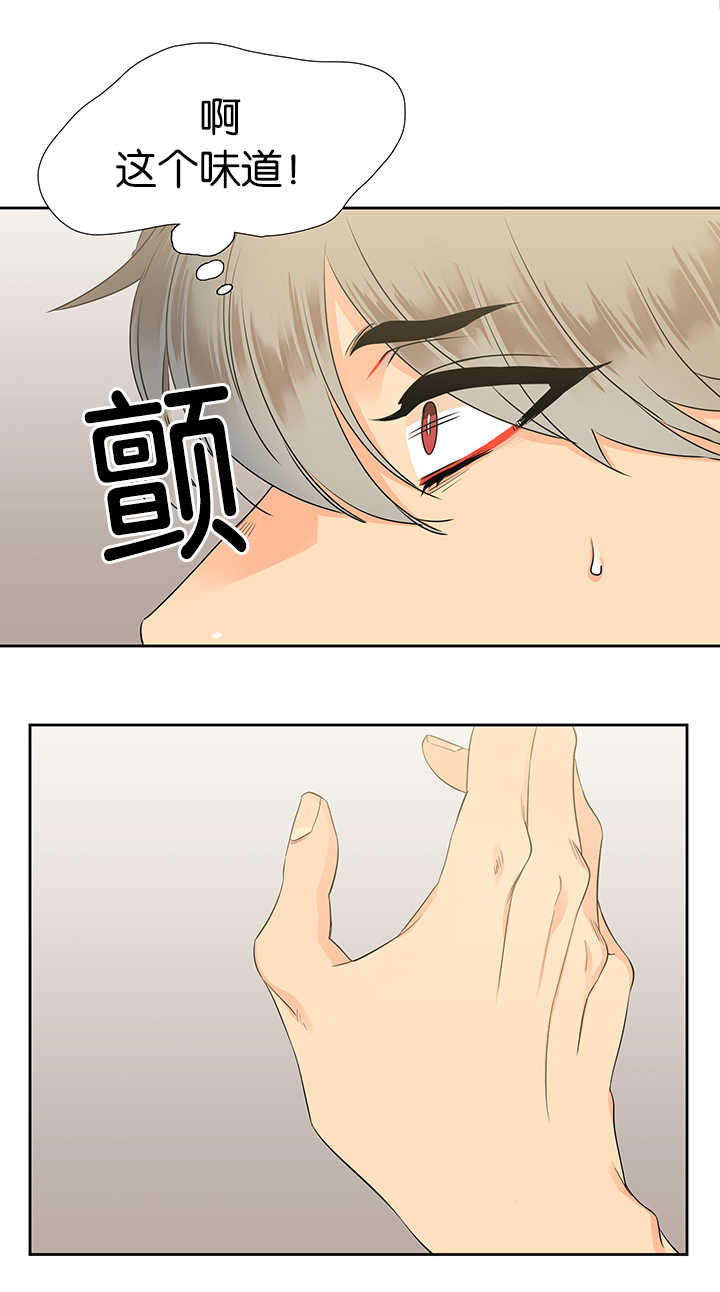 第226话15