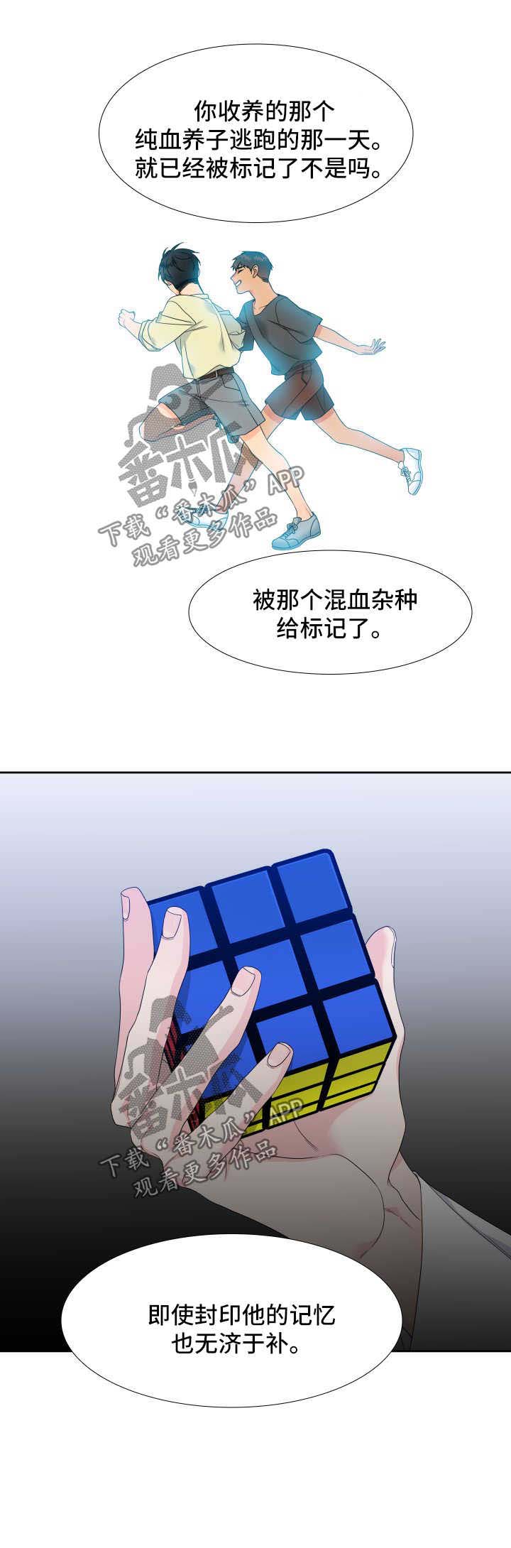 第117话17