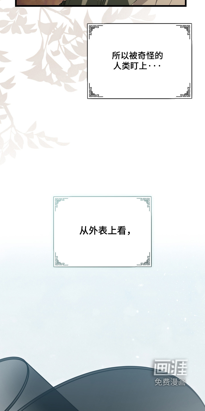 第48话17