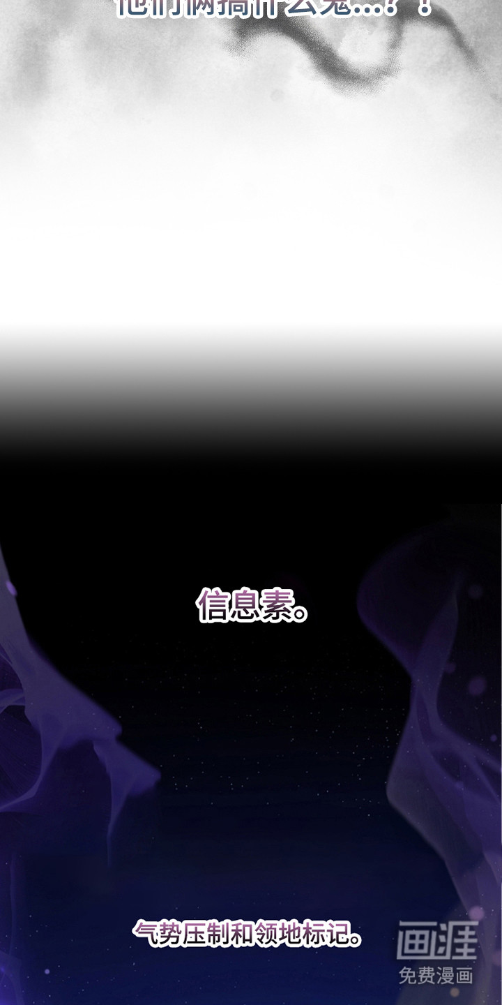 第17话8