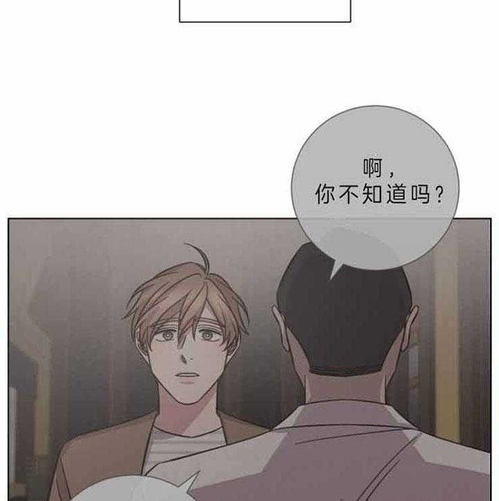 第59话19