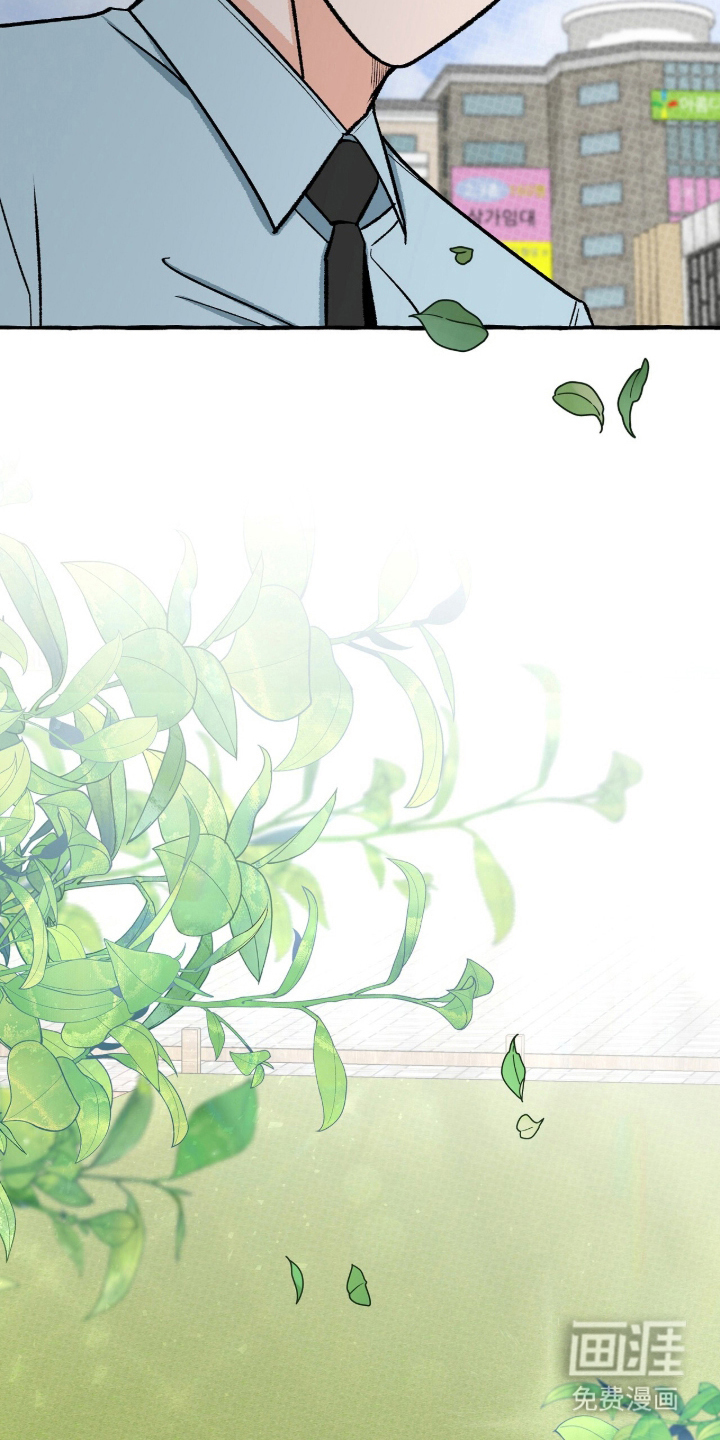 第13话9