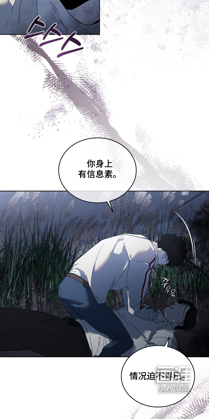 第29话21